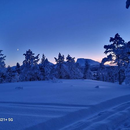Malangen Lodge Mestervik Esterno foto