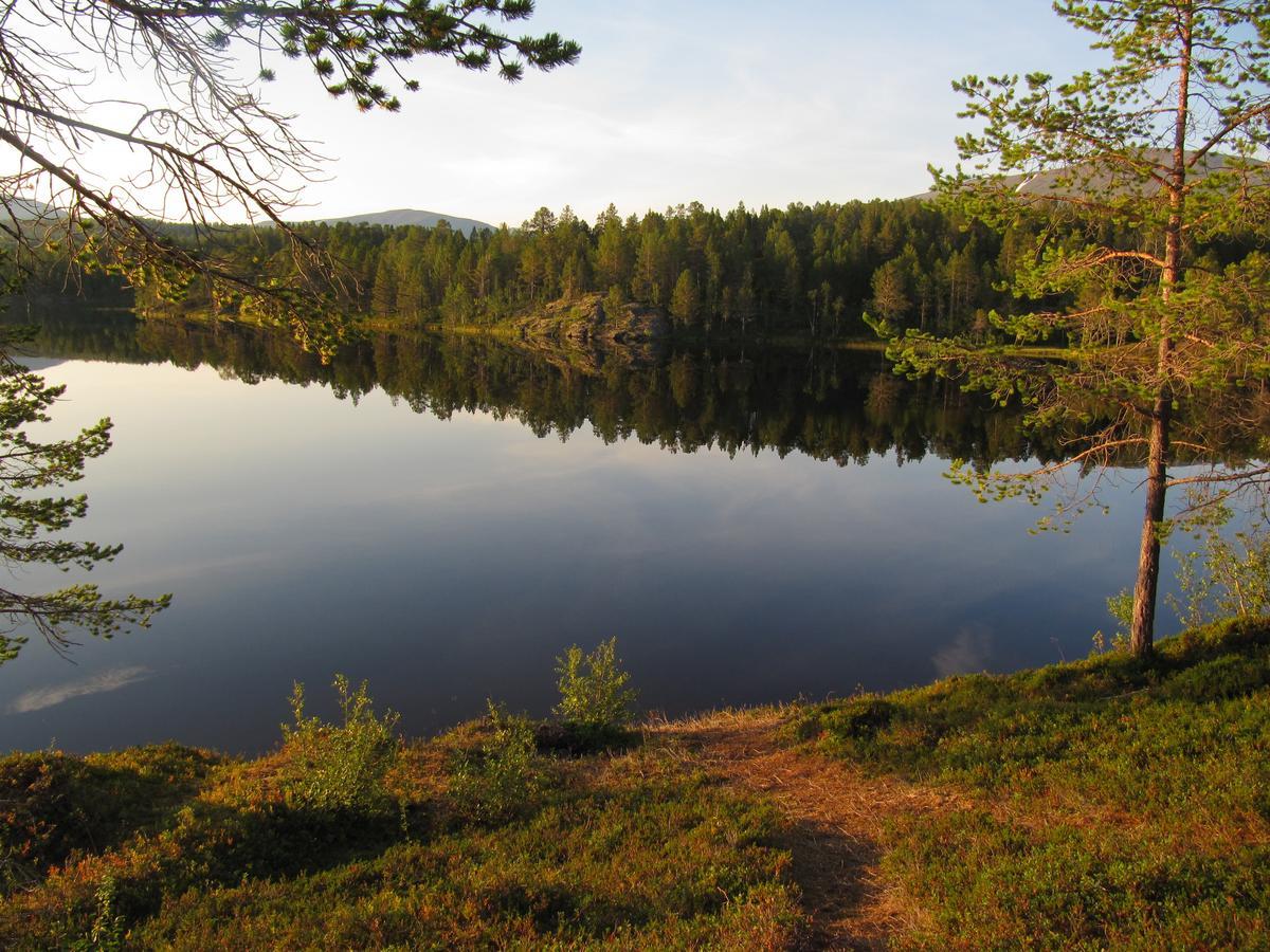 Malangen Lodge Mestervik Esterno foto
