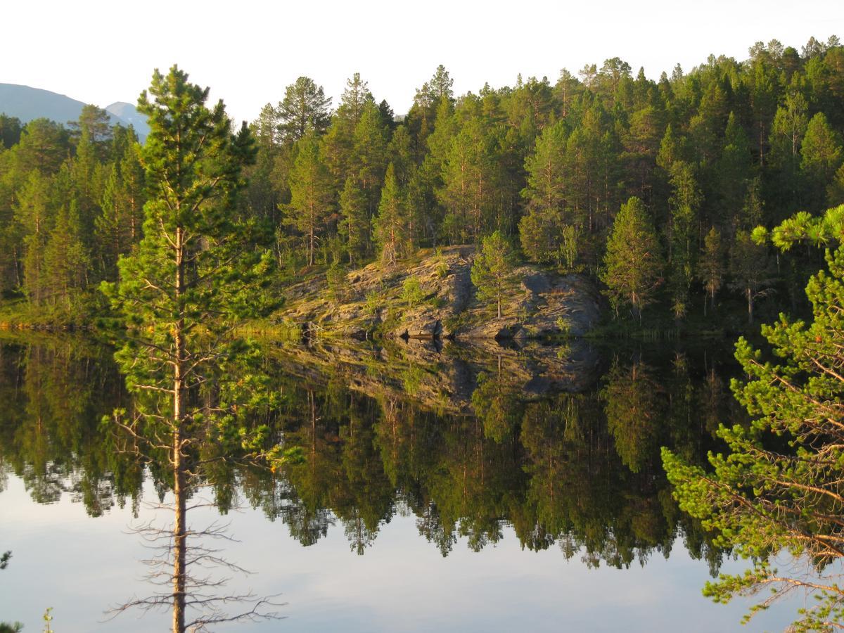 Malangen Lodge Mestervik Esterno foto