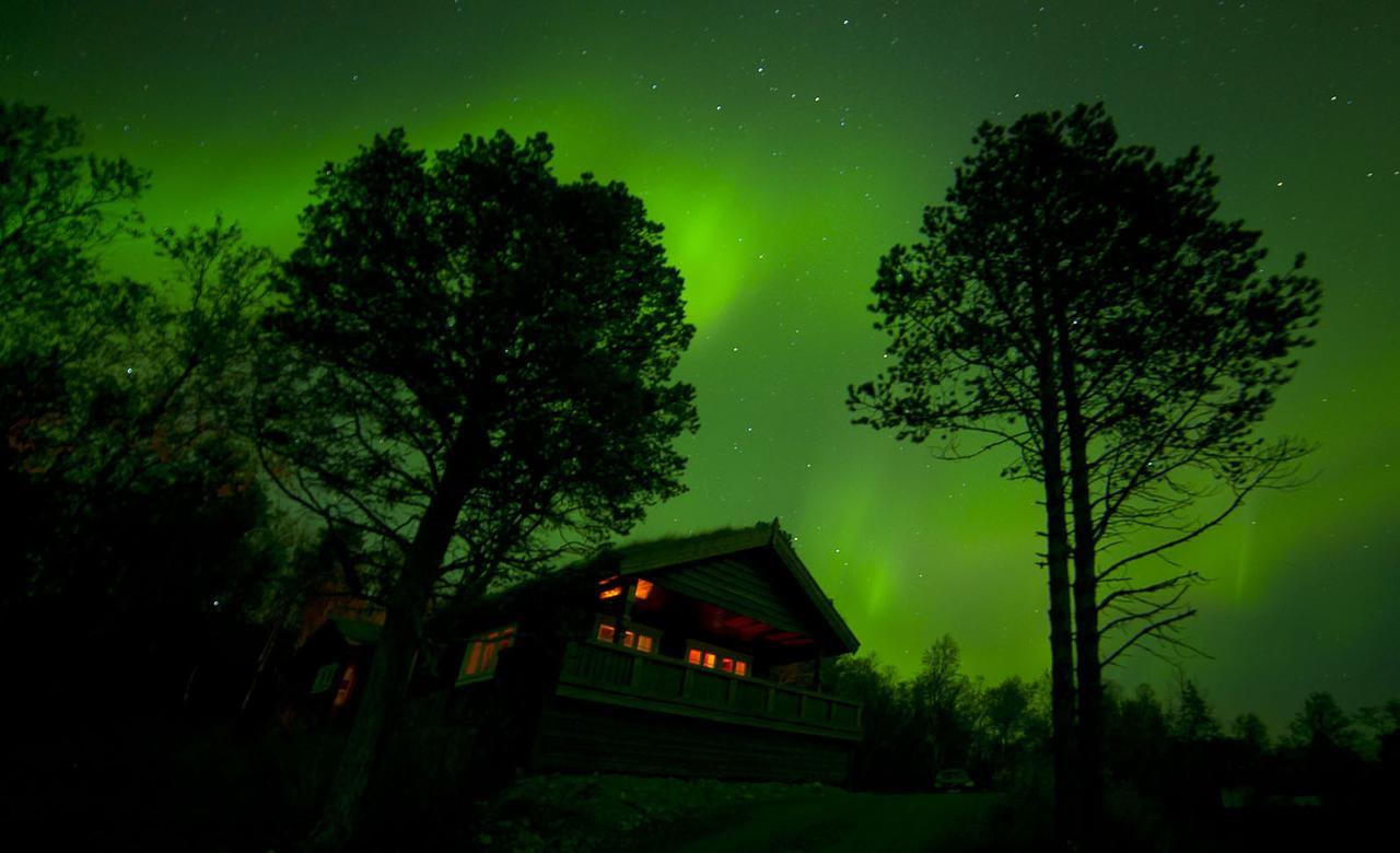Malangen Lodge Mestervik Esterno foto
