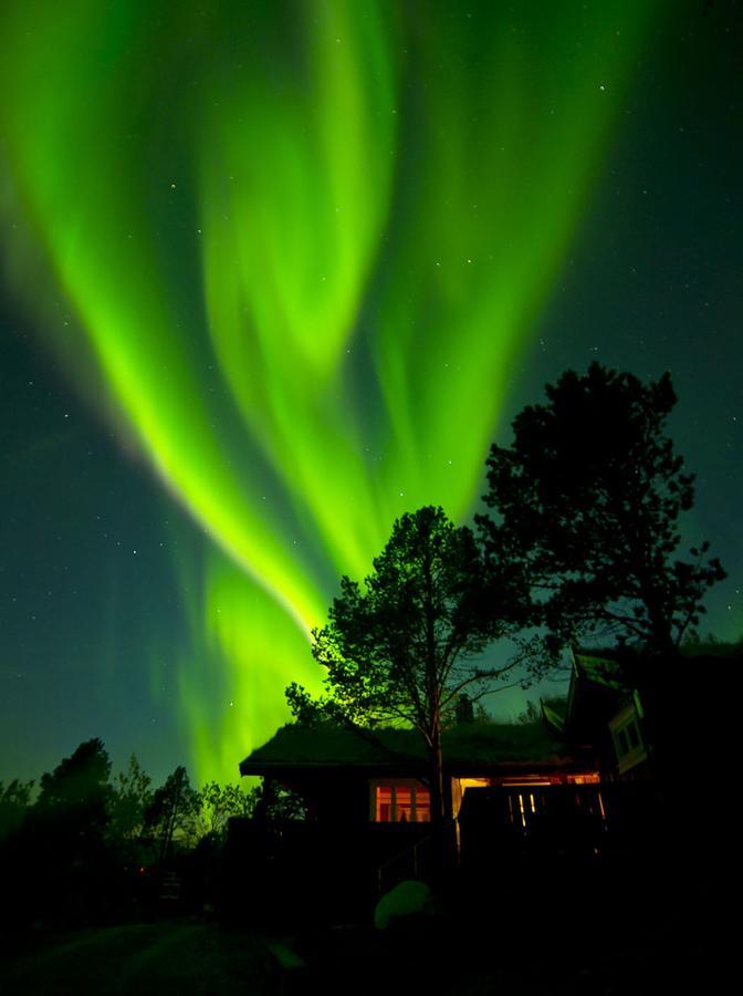 Malangen Lodge Mestervik Esterno foto