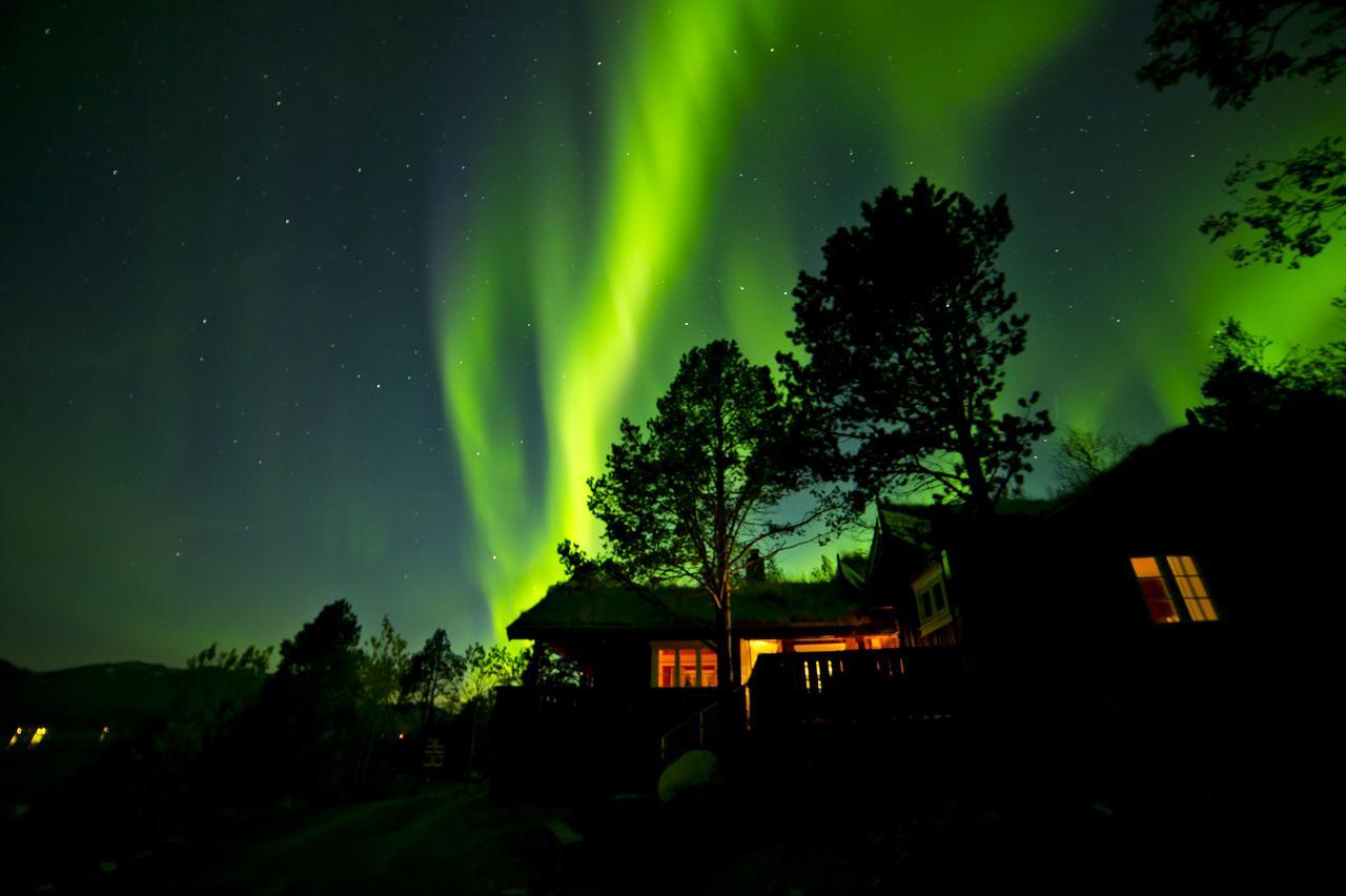 Malangen Lodge Mestervik Esterno foto