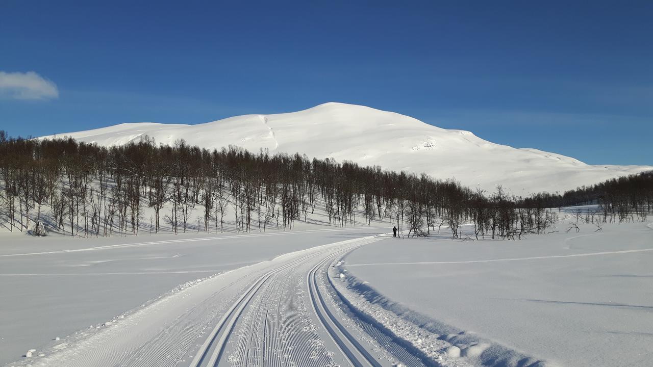 Malangen Lodge Mestervik Esterno foto