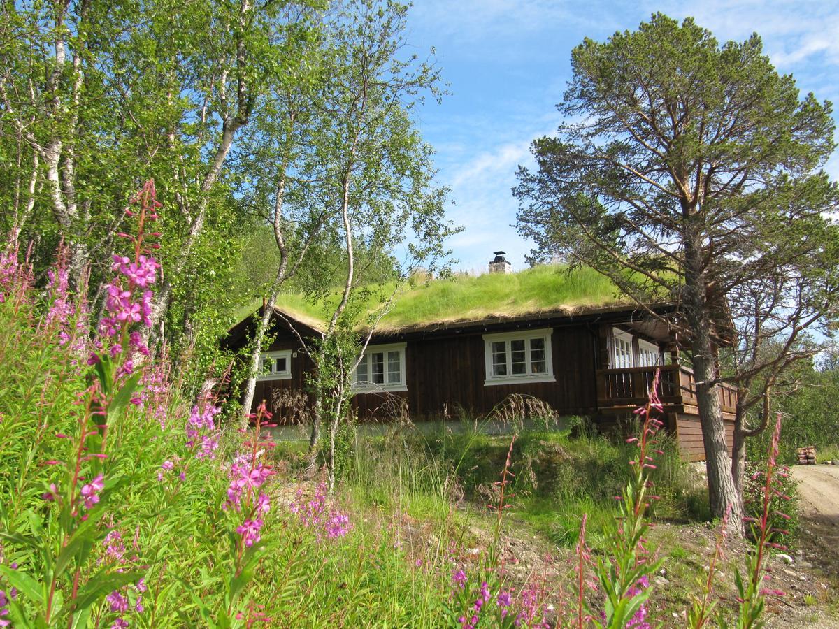 Malangen Lodge Mestervik Esterno foto